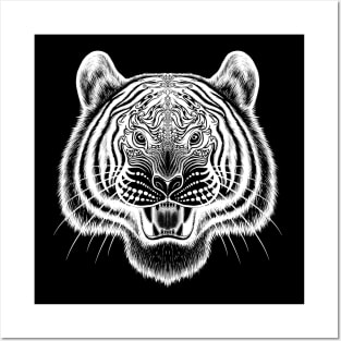 Tiger bengal tiger Siberian tiger big cat Posters and Art